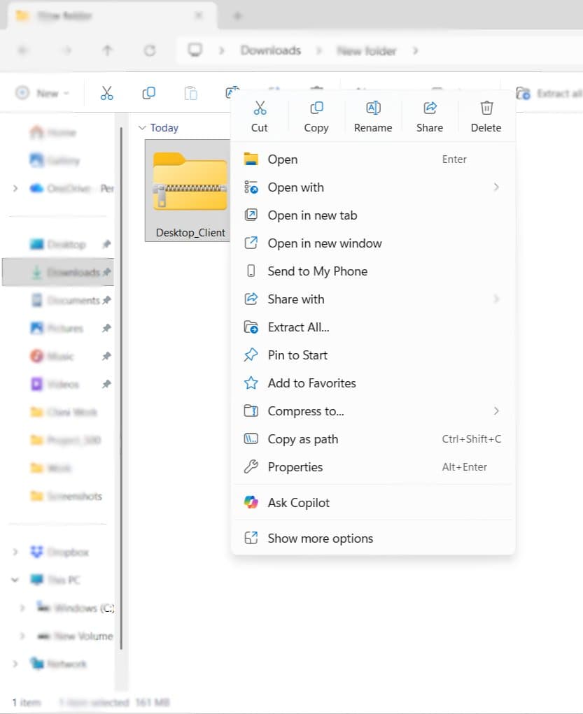 Right-click the ZIP and choose Extract All